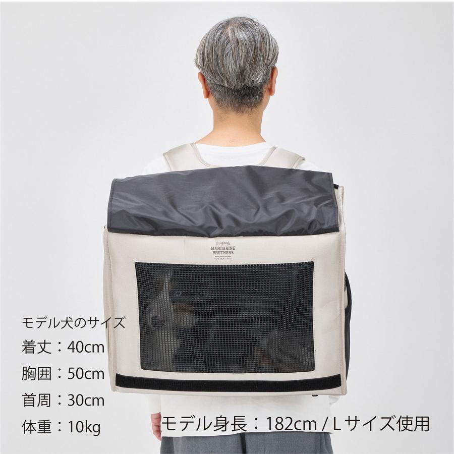 Brixton Carry Backpack ワイド Lサイズ BRIXTON CARRY BACKPACK ブリクストンキャリーバックパック