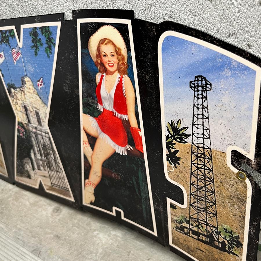 FUNNY公式ストア メタルサインボード TEXAS 看板 USA インテリア