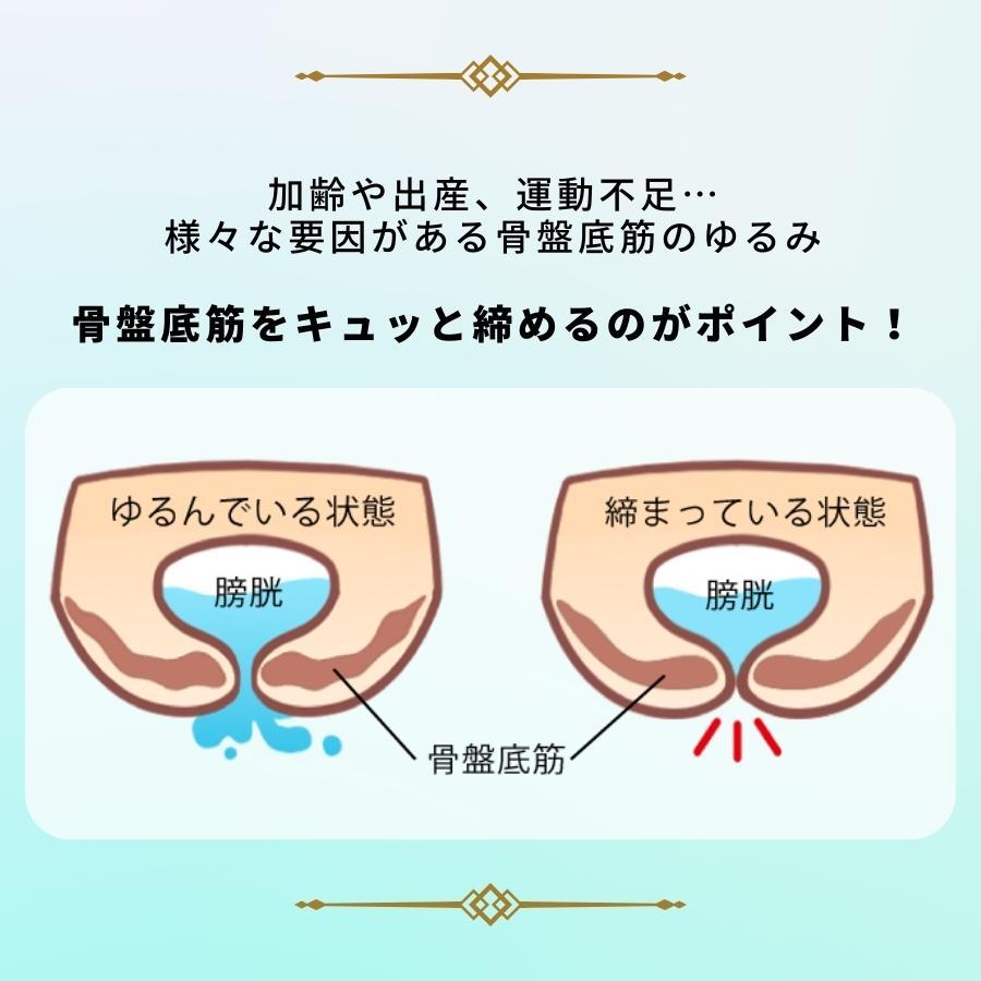 骨盤底筋 ガードル  尿漏れ 尿モレ 頻尿  骨盤サポー 補正下着 補整下着 フェムケア トレーニング ヒップアップ |  | 03