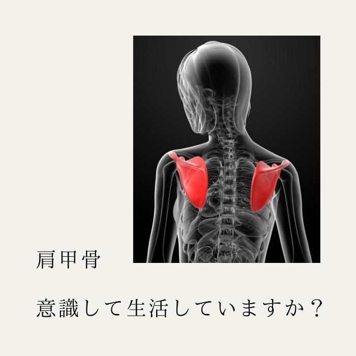 補整下着 脇高ブラ ロングブラ ファスナーブラ 前開きブラ 脇肉 フロントジッパー  姿勢 幅広 猫背 |  | 02