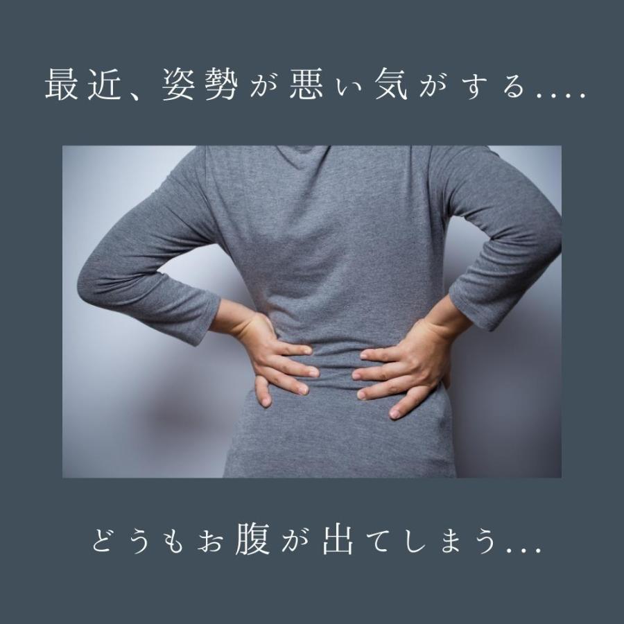 骨盤 レース ショーツ  補正下着 補整下着 レディース  サポート 美姿勢 ウエスト ストレッチ デイリー |  | 01