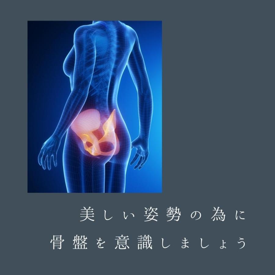 骨盤 レース ショーツ  補正下着 補整下着 レディース  サポート 美姿勢 ウエスト ストレッチ デイリー |  | 02