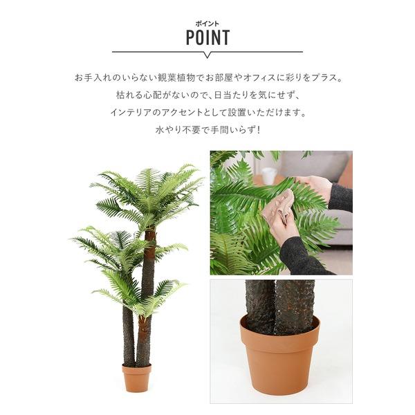 観葉植物 造花 約幅90cm シダ 7号鉢対応 43 52678 インテリアグリーン リビング 店舗 ショップ お店 7号鉢対応