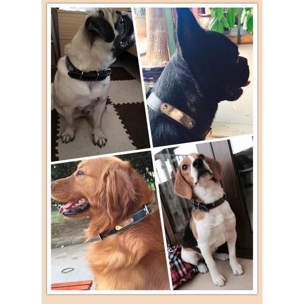 名入れ対応首輪犬猫本革首輪レザーネックレス中 大型犬用迷子札軽量迷子札チョーカー愛犬用オリジナルデザイン Rexxk Esvxd531 Funtolife 通販 Yahoo ショッピング