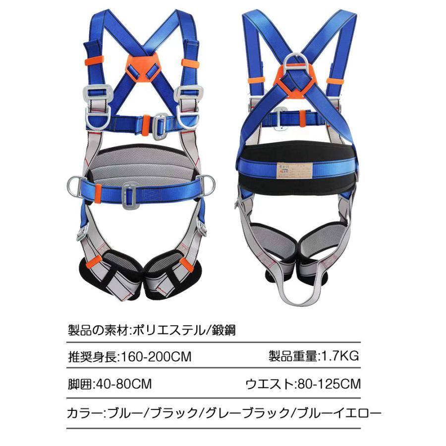 フルハーネス 安全帯 セット ランヤード 墜落制止用器具 2022 新