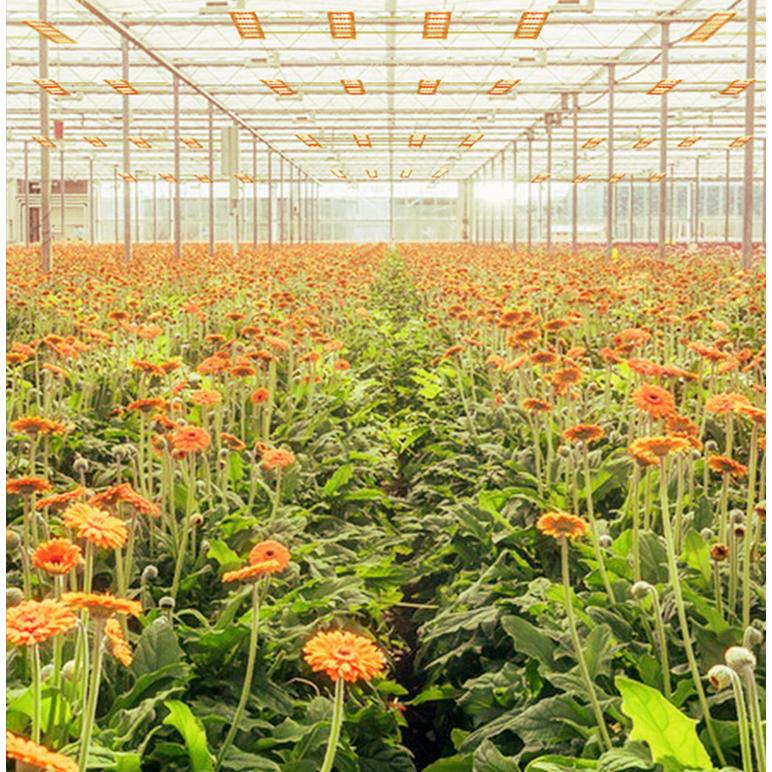 植物育成ライト LED 624個 パネル 室内 屋外 フルスペクトル 植物育成ライト LED 624個 パネル 室内 屋外 フルスペクトル