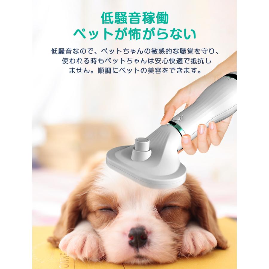 ペットドライヤー 犬 ドライヤー 抜け毛取り ペットグルーミング ペットドライヤー 犬 ドライヤー 抜け毛取り ペットグルーミング