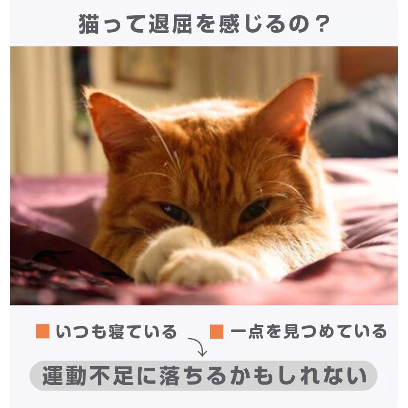猫 おもちゃ 自動 一人遊び 猫じゃらし レーザーポインター