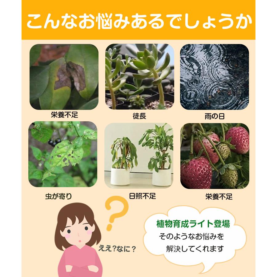 ❤天候に左右されない❣害虫被害が多い植物の育成にも超最適♪❤植物