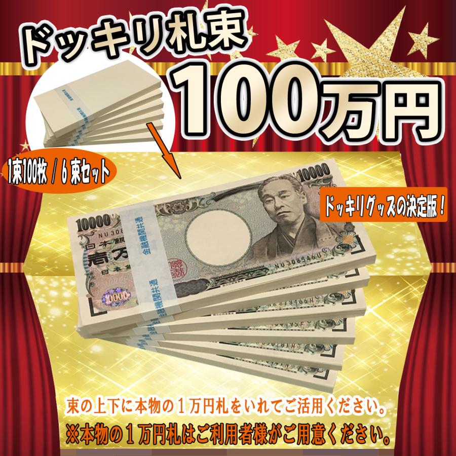 ダミー札束 100万円 札束 ドッキリ お祝い 誕生日 プレゼント レプリカ 6束 : フォンテーヌ アイ - 通販 - Yahoo!ショッピング