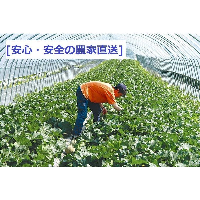 富良野産 赤肉メロン 中玉３玉 【お中元　ご贈答に最適！】 |  | 02