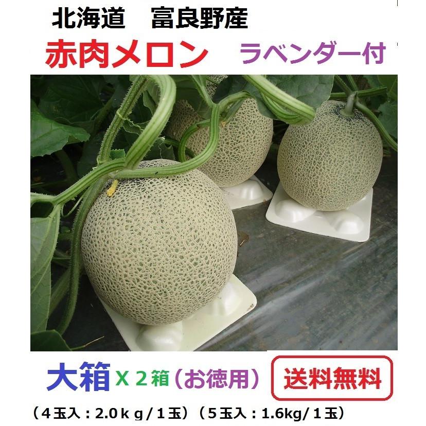 富良野産 赤肉メロン 大箱（4・5玉） X2箱 ラベンダー付き
