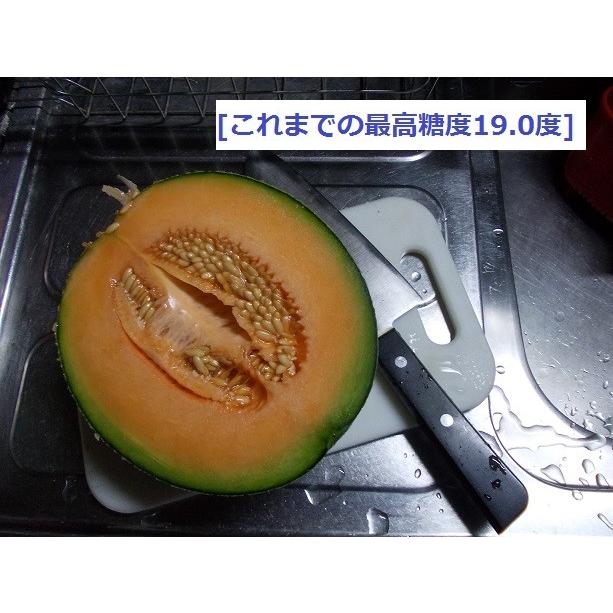 富良野産 赤肉メロン 特大1玉 （2.5kg以上/玉） ラベンダー付
