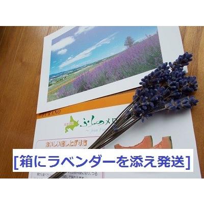 富良野産 赤肉メロン 特大1玉 （2.5kg以上/玉） ラベンダー付