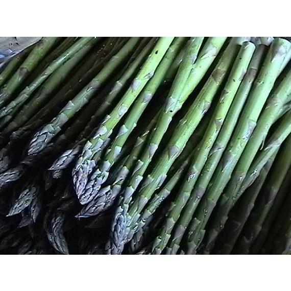 富良野産　アスパラ　規格外　3キロ hausu3l-1k-4.jpg