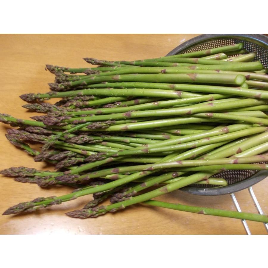 【訳あり品】富良野産 グリーンアスパラ　1ｋｇ箱 　【北海道　農家直送】 |  | 01