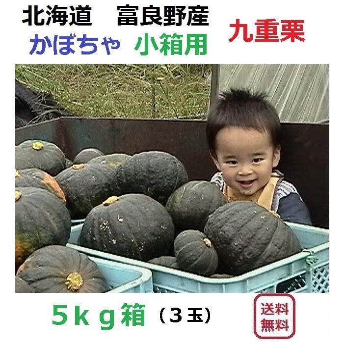 富良野産 カボチャ 九重栗 5kg箱 （3から4玉入り） : 富良野 加納