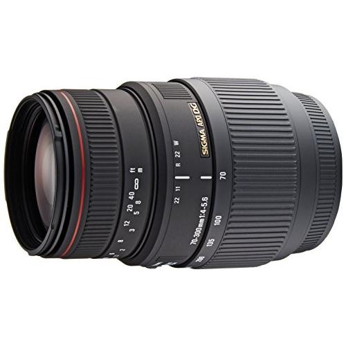 SIGMA 望遠ズームレンズ APO 70-300mm F4-5.6 DG MACRO ソニー用 フルサイ