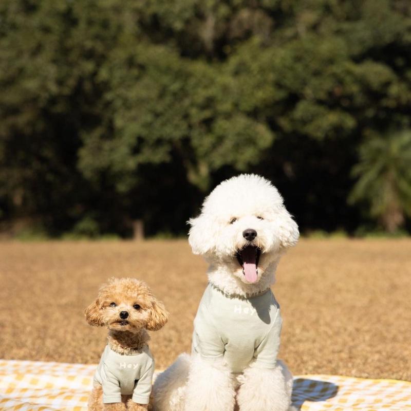 【FURDICH】犬　ドッグ　ペット　服　ウェア　小型犬　中型犬　イエロー　ブルー　ピンク　M　L　XL |  | 09