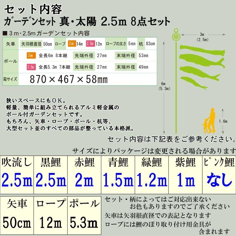 爆買 こいのぼり 鯉のぼり おしゃれ カ゛ーテ゛ンセット 真・太陽 2.5ｍ 8点セット_2