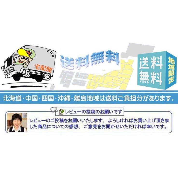 爆買 コーヒーギフト 内祝い お返し  おすすめギフトおすすめ ネスカフェ コーヒーギフト N30 数量限定ご奉仕品 早いが勝ち | ネスカフェ | 02
