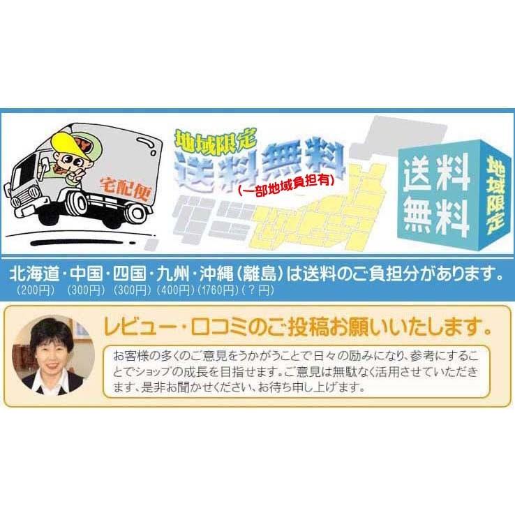高評価なギフト おすすめ 洗い桶 コンパクト洗いおけオーバル型 ステンレス ヒロショウ ゴム脚付 CAO-20 ヒロショウ コンパクト洗いおけ オーバル型 ゴム脚付 CAO-20