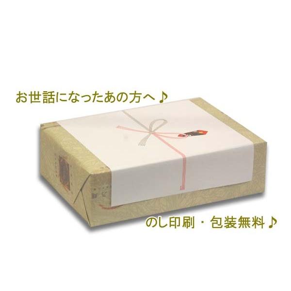 お中元 そうめん 白石温麺(100g×3束)×10袋入り ダイエット健康自然食品