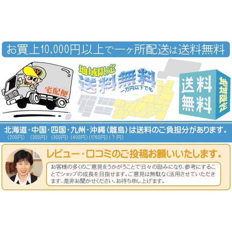 ジューサー ステンレス製 ハンドジューサー HJ-01(果物ハンド ジューサー ステンレス製 ハンドジューサー HJ-01(果物ハンド