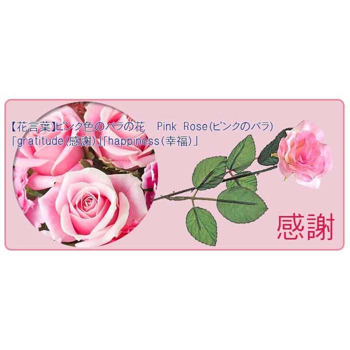 敬老の日特選 白河ラーメン6食 バウムクーヘン2pをセット 花言葉が感謝のピンクのバラの花を添えて Keirou Sr Baumu2 ふれあいギフト 通販 Yahoo ショッピング