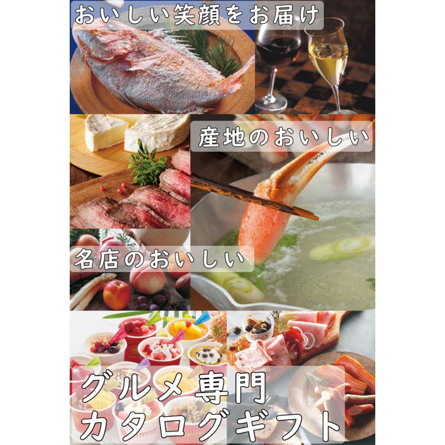 グルメ専門 カタログギフト6 380円 税込 Eo 母の日 父の日 敬老の日 お中元 お歳暮 お礼 おすすめ セットアップ