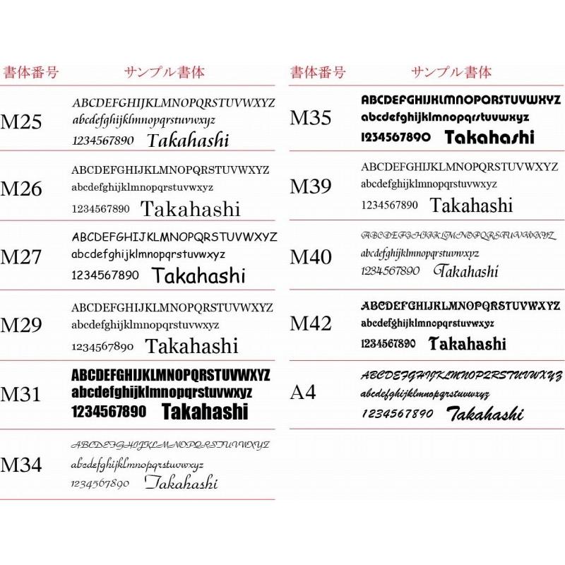 おしゃれ 戸建て ステンレス マンション ポスト 210mm×40mm 送料無料 アクリル 新築祝い おしゃれ 【フィニッシュ】 人気 プレゼント