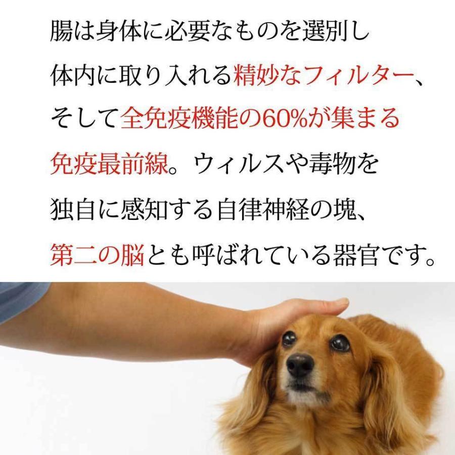 大高酵素 フリカケワン400g（ポスト投函）犬用 酵素 サプリメント 発酵