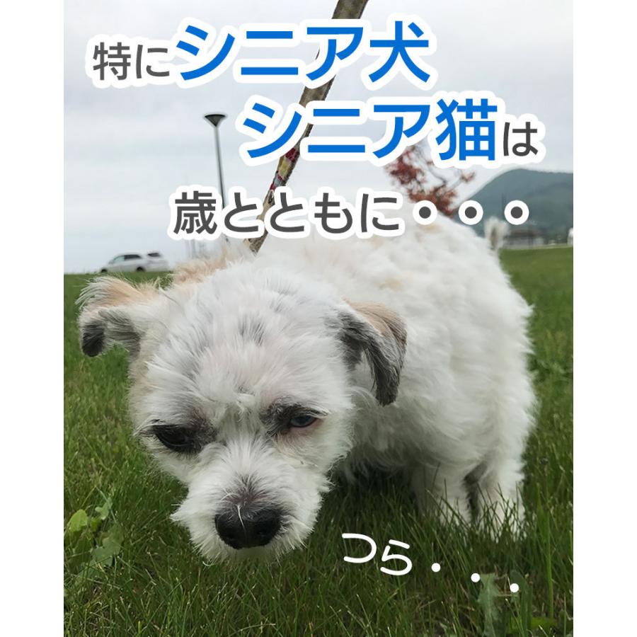 大高酵素 フリカケワン400g（ポスト投函）犬用 酵素 サプリメント 発酵