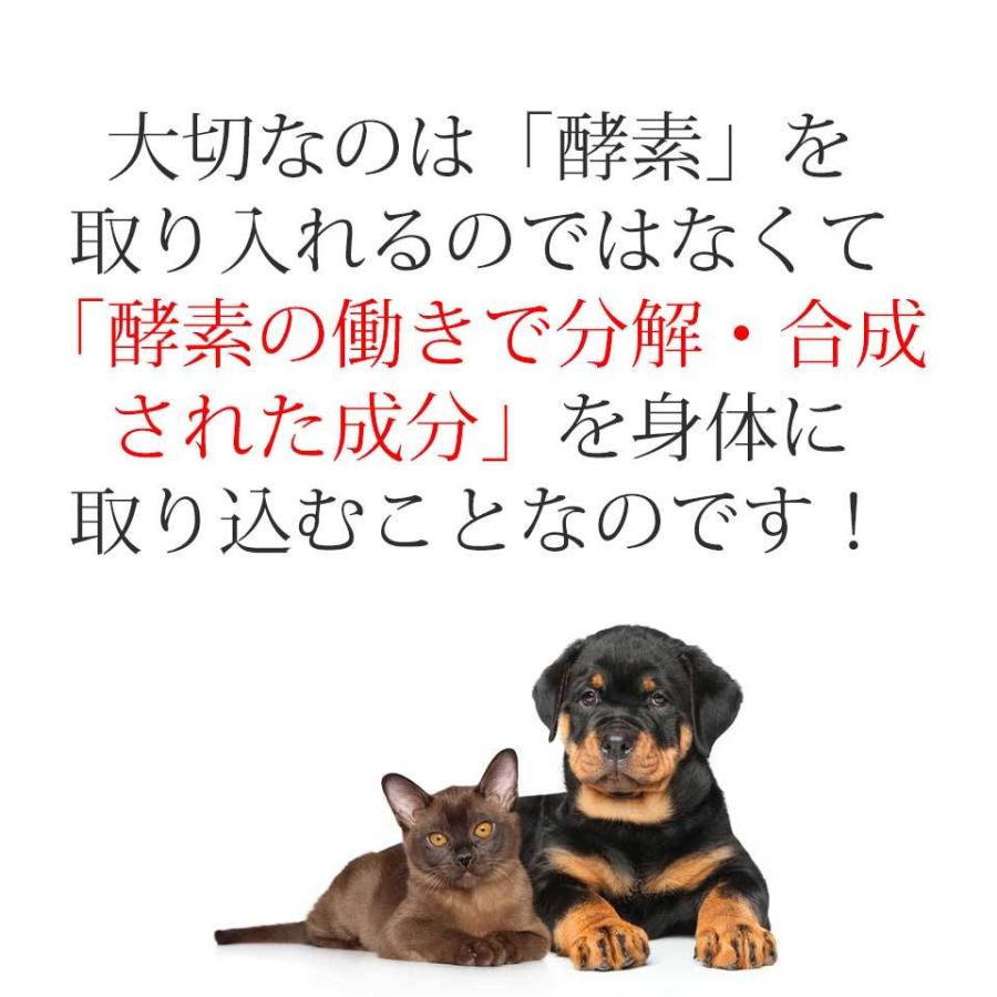 新作製品 世界最高品質人気 大高酵素 スーパーワンにゃん 100ml ２本セット ペット用 酵素 サプリメント 高齢猫 シニア犬 腸内環境改善 便秘や下痢改善や皮膚炎に 酵素エキス液 Www Gaviao Ba Gov Br