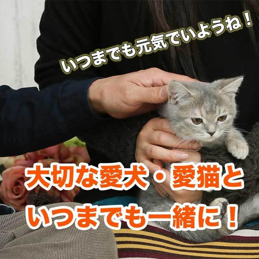 初回限定・大高酵素 スーパーワンにゃん 100mlお試し 4本まで