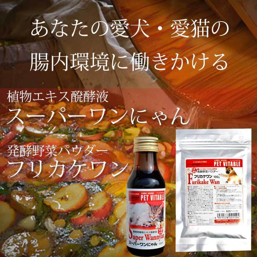 初回限定】大高酵素のお腹のサプリ スーパーワンにゃん【2本セット