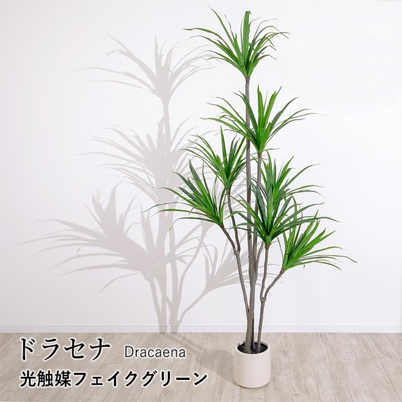 MINT ドラセナ フェイクグリーン 光触媒 観葉植物 造花 人工観葉植物