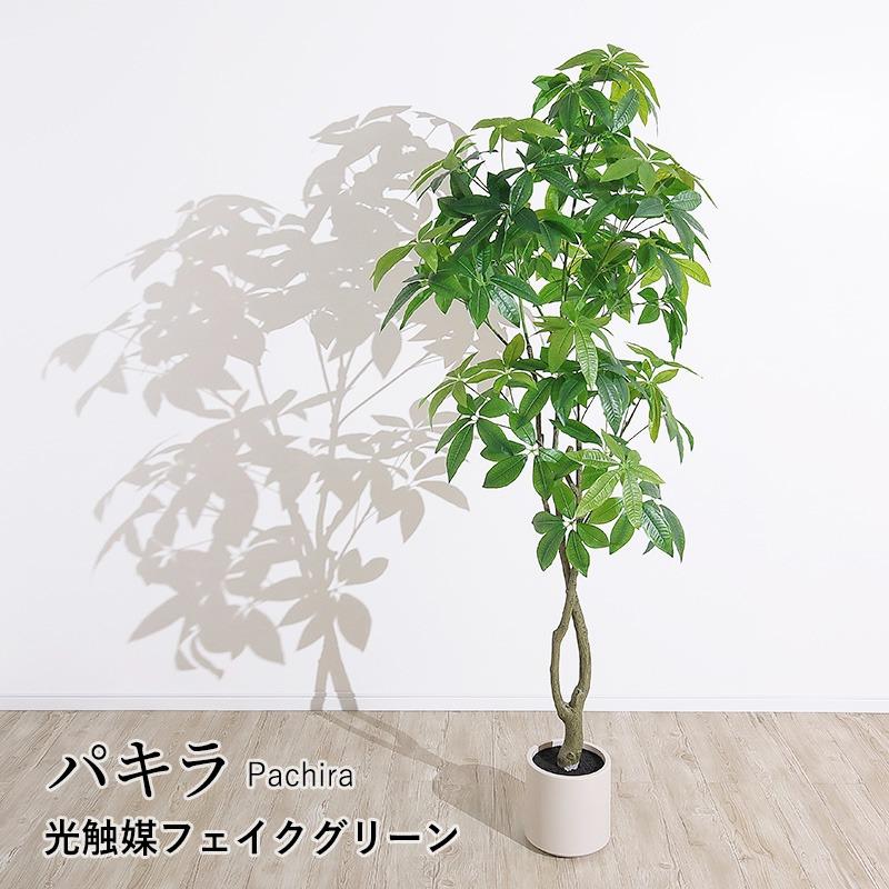 MINT パキラ フェイクグリーン 光触媒 観葉植物 造花 人工観葉植物