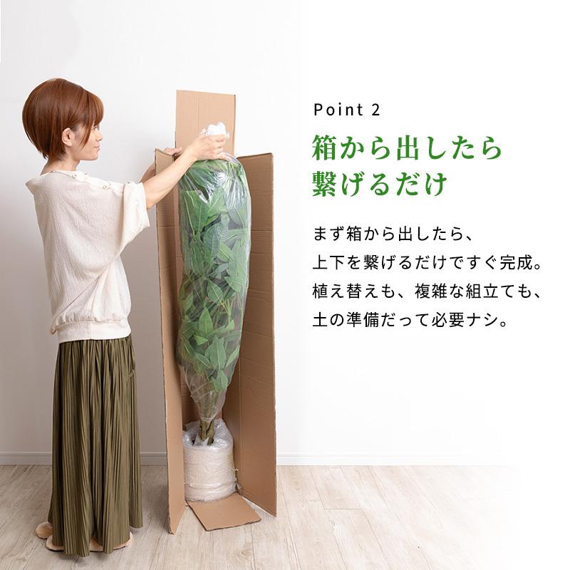 MINT パキラ フェイクグリーン 光触媒 観葉植物 造花 人工観葉植物