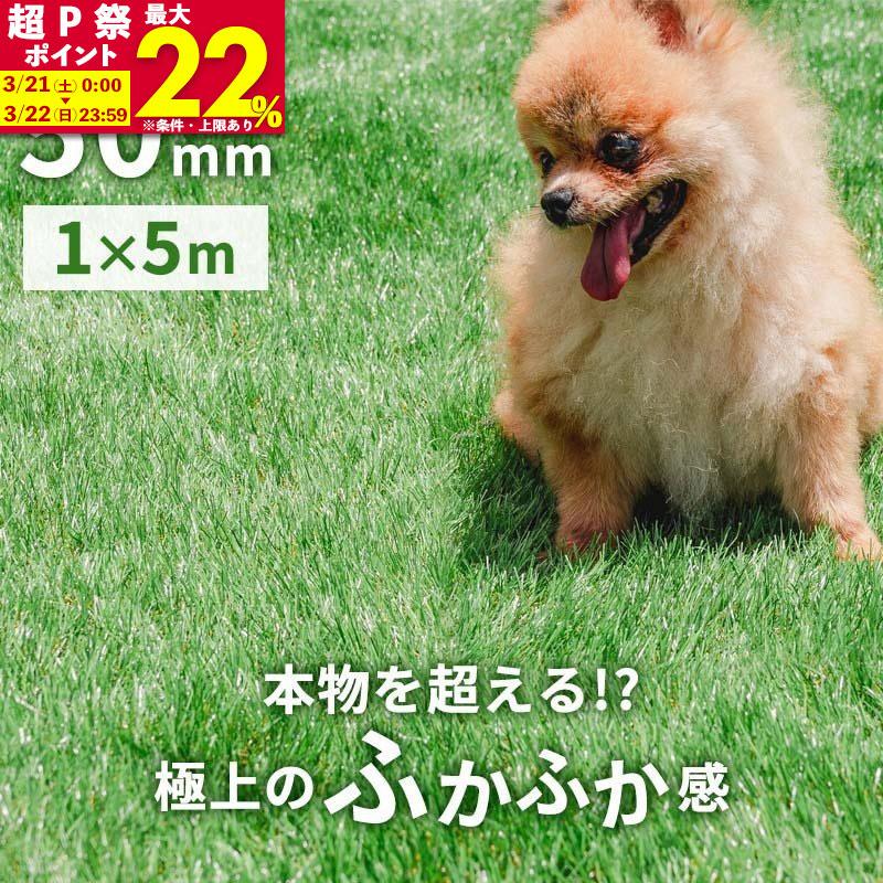 人工芝 1m x 5m 芝生マット 人工芝生 芝生 芝丈50mm 固定ピン 庭