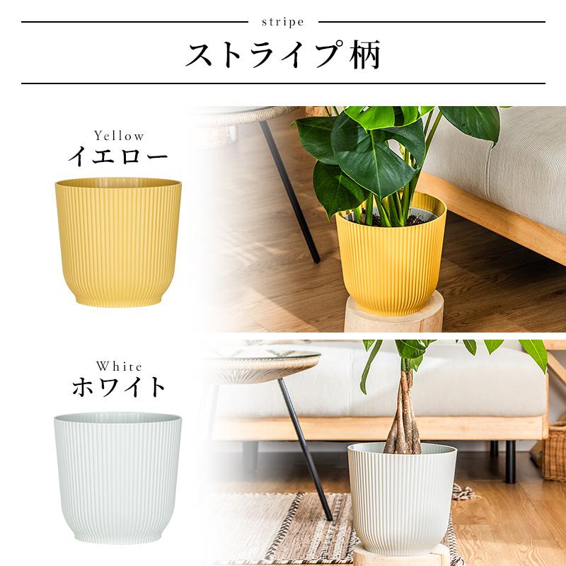 MINT モンステラ インテリア 観葉植物 7号 高さ約55〜75cm 鉢カバー