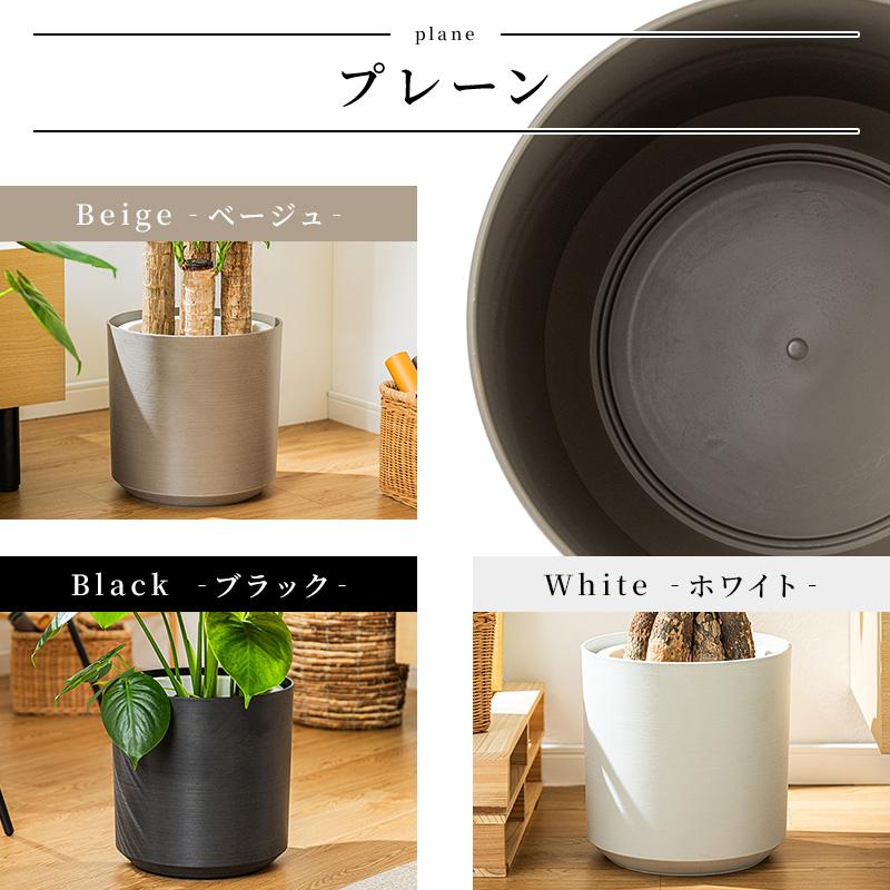 MINT ユッカ 青年の木 観葉植物 8号 鉢カバー付き 高さ約110〜130cm 鉢