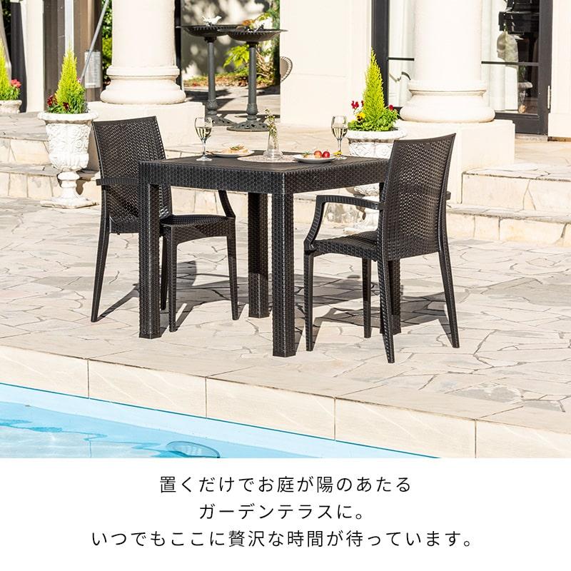 MINT(家具、インテリア) チェア ガーデンチェアー チェアー 肘 MINT(家具、インテリア) チェア ガーデンチェアー チェアー 肘
