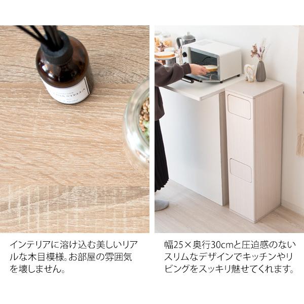 2段 ダストボックス Empro（エンプロー） ゴミ箱に見えないスタイリッシュなデザインの画像