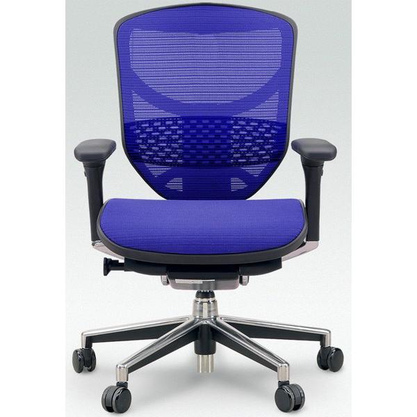 関家具 エルゴヒューマン エンジョイ ロータイプ エラスト