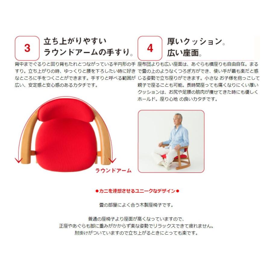 シーズ かに座プラス ロータイプ ② kp-100_700700.jpg