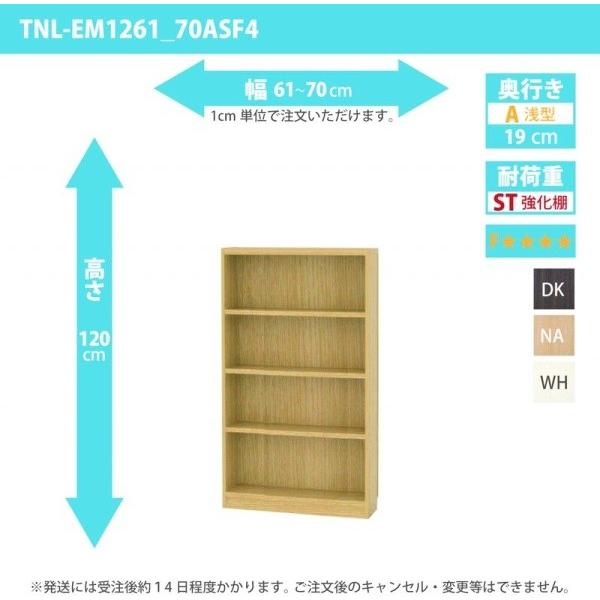 (ひと休み大売り出し中) 購入注文調度品 納める棚 購入注文仕合わせ 一元管理棚板・低ホルムアルデヒド印字機 幅61〜70糎 高さ120糎 奥ふかさ19糎