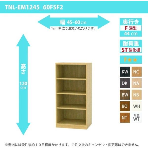 購入注文調度品 納める棚 購入注文仕合わせ 一元管理棚板 幅45〜60糎 高さ120糎 奥ふかさ44糎