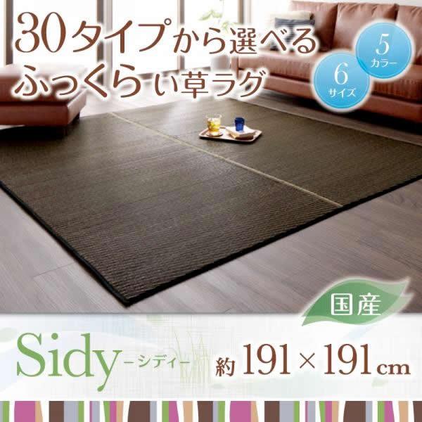 正規代理店 い草ラグマット 夏用 191×191cm 約2畳 おしゃれ 日本製 カーペット、ラグ