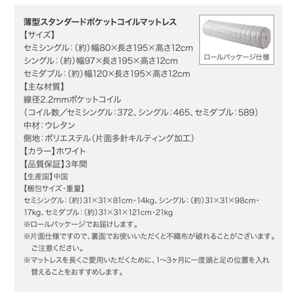 人気の販促アイテム (SALE) 組立設置付 シングルベッド 跳ね上げ式ベッド マットレス付き 薄型スタンダードポケットコイル 縦開き/深さラージ レギュラー丈 大容量収納